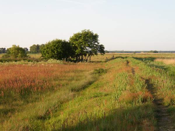 Natur